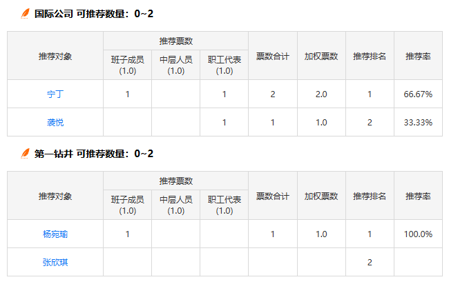 投票推荐卷指标汇总报表，显示各推荐对象的得票情况