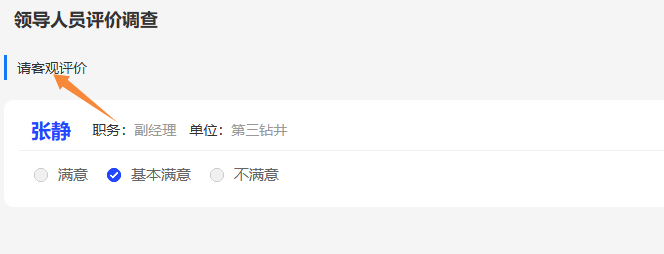 评价调查卷备注在评委端页面的展示效果