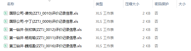 单个调查对象的打分记录电子表格内容示例