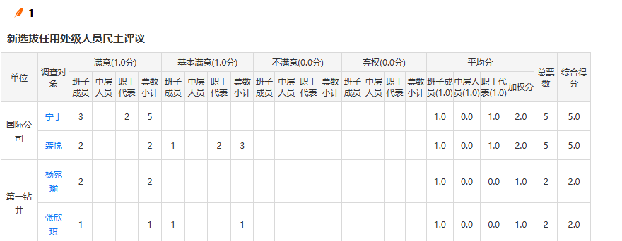 问卷调查卷指标汇总报表，显示各调查对象的得分情况