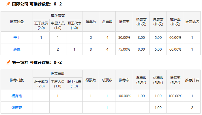 投票推荐卷指标汇总报表,显示各推荐对象的得票情况