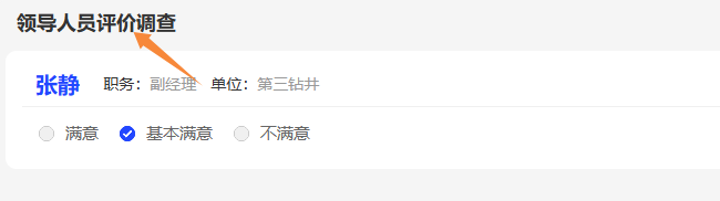 评价调查卷标题在评委投票页面的展示效果