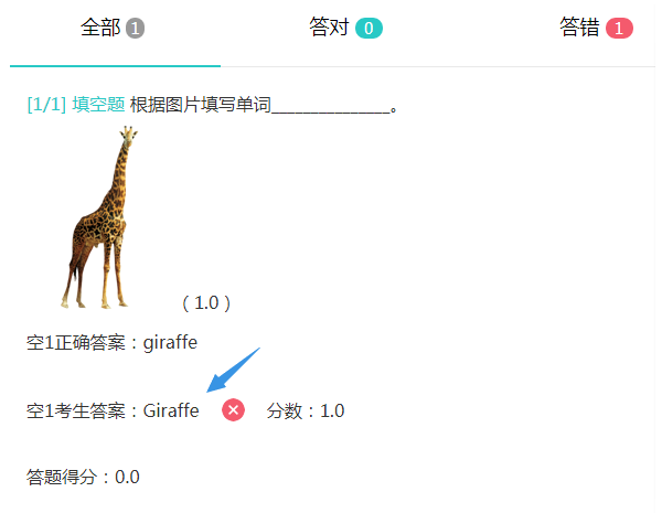 区分大小写时填空题判分效果