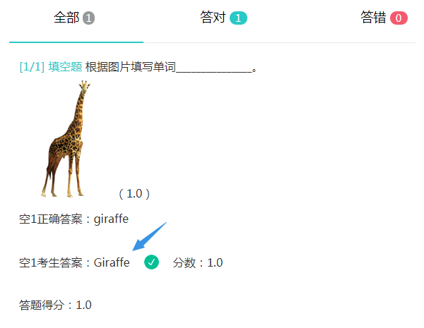 忽略大小写参数设置示例