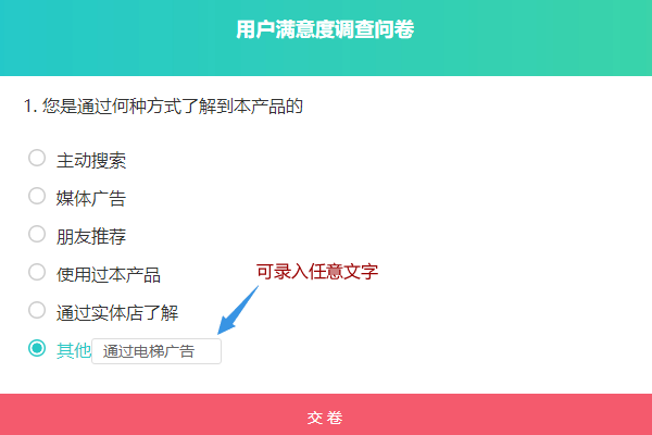 实际问卷页面中带其他开放性选项的选择题样式