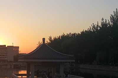 某高校中层干部年度测评案例
