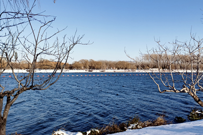 某事业单位完成年度干部考核民主测评工作案例