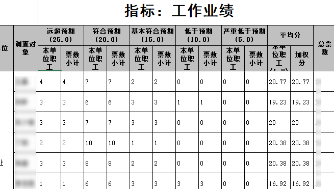 指标得分明细表样例展示