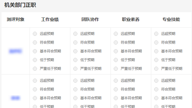 全员民主测评打分投票票样示例