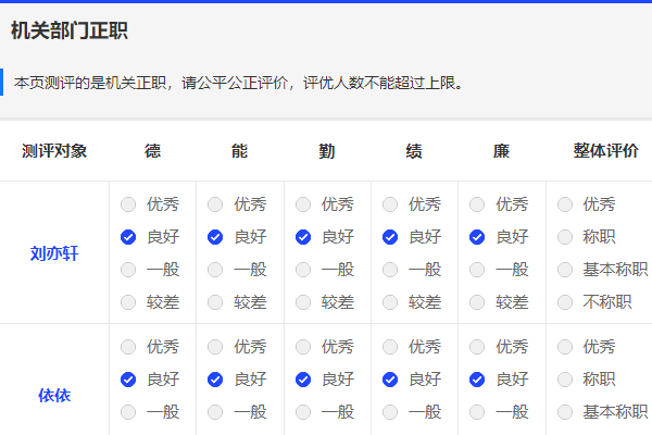 选项长排版在电脑端的显示效果示例