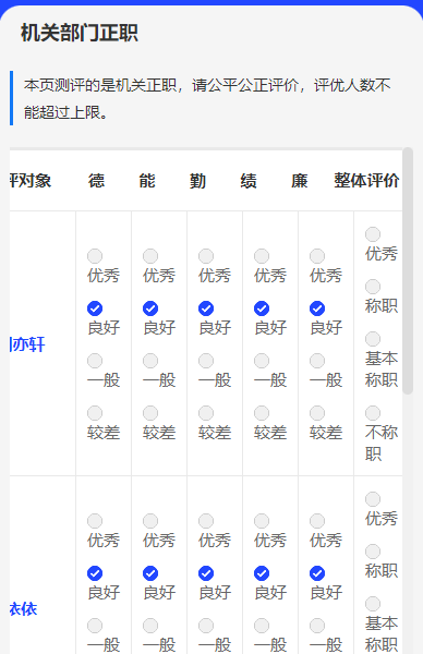选项长排版在手机端的显示效果示例