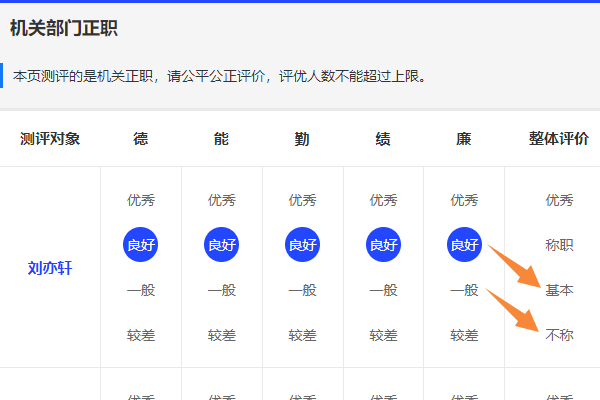 选项短排版在电脑端的显示效果示例