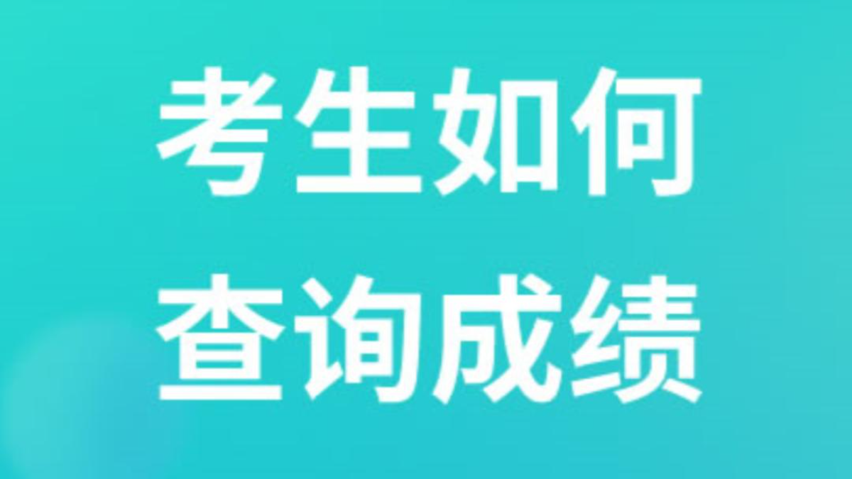 如何查询成绩